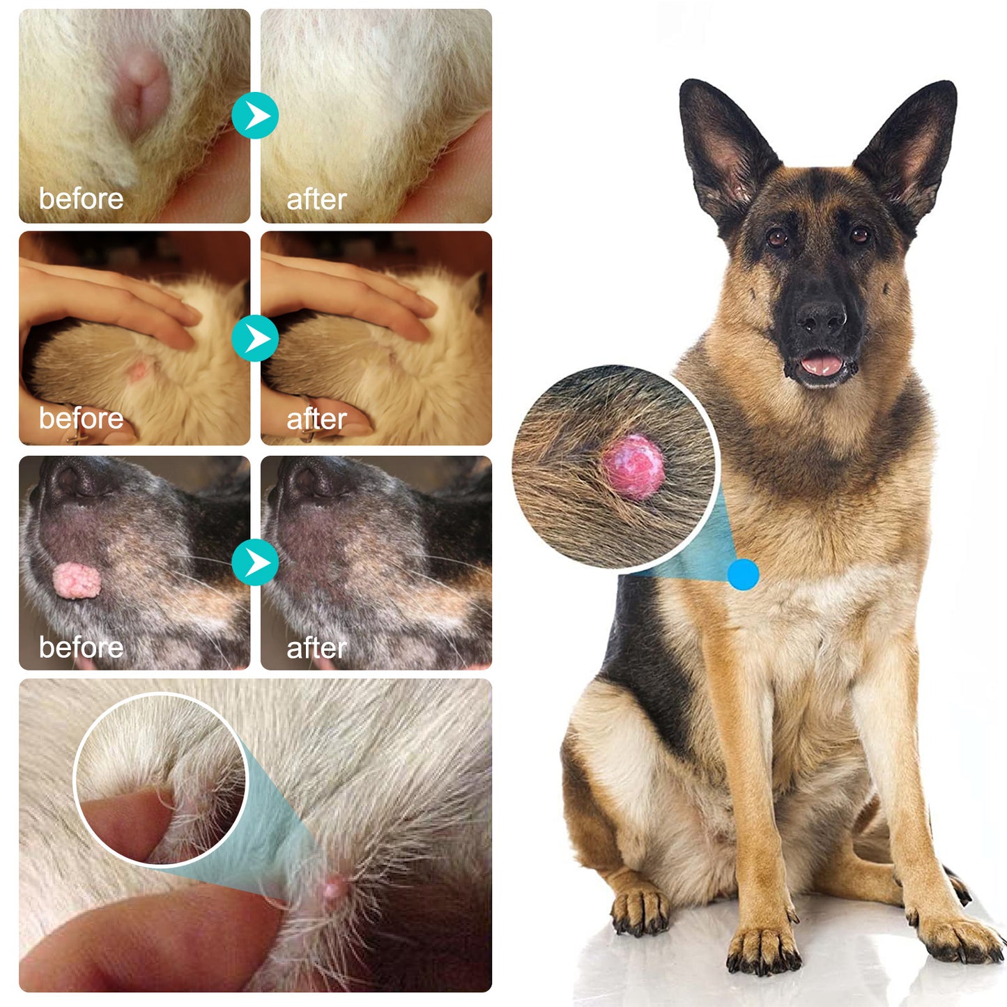ELAIMEI - Wart Remover for Dogs-Fast and Effective - Safe and Painless
