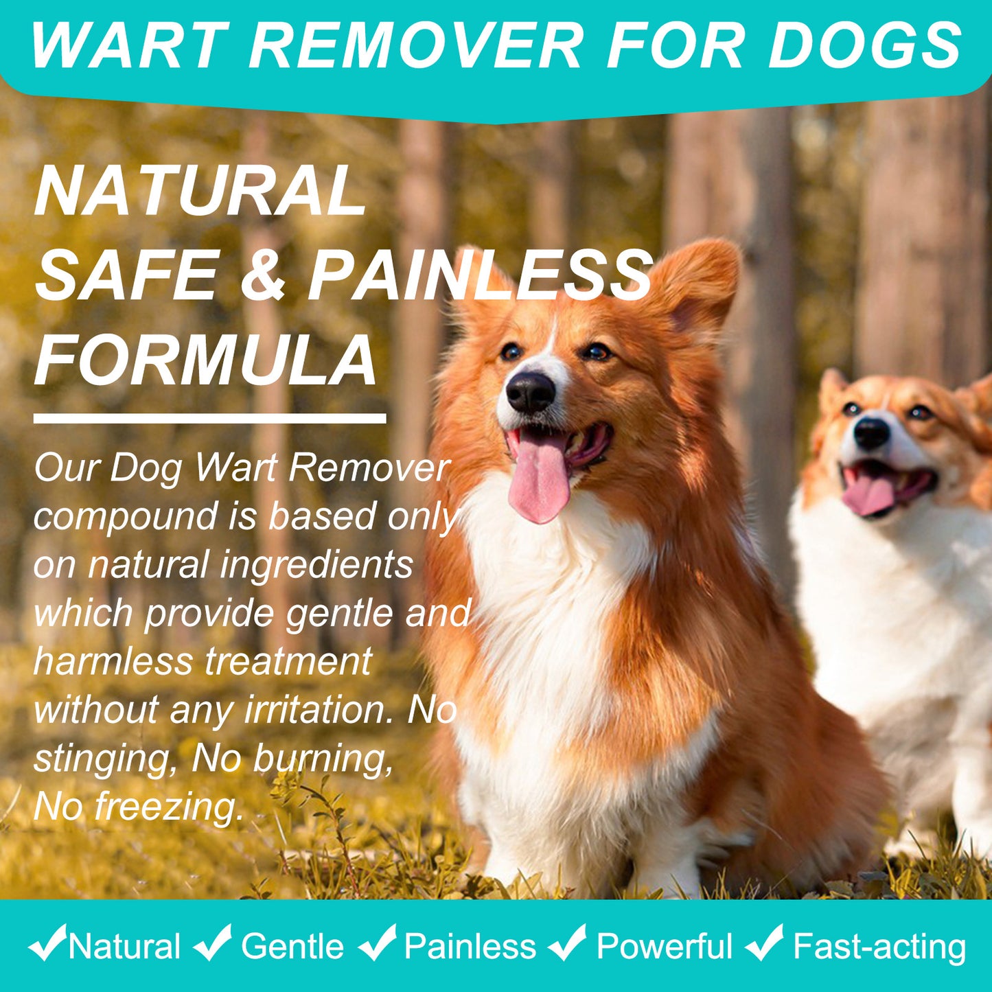 ELAIMEI - Wart Remover for Dogs-Fast and Effective - Safe and Painless