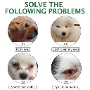 imgi_11_s-pdpxl.webp