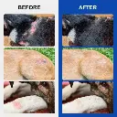 imgi_11_s-pdpxl.webp