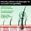 imgi_11_s-pdpxl.webp