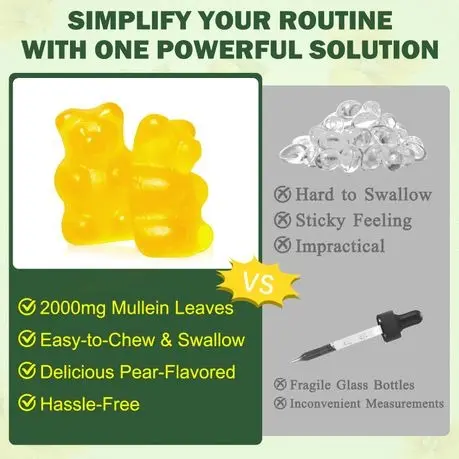 imgi_12_s-pdpxl.webp