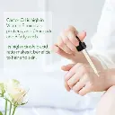 imgi_8_s-pdpxl.webp