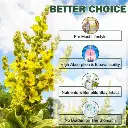 imgi_17_s-pdpxl.webp