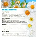 imgi_13_s-pdpxl.webp