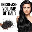 imgi_4_s-pdpxl.webp