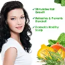 imgi_14_s-pdpxl.webp