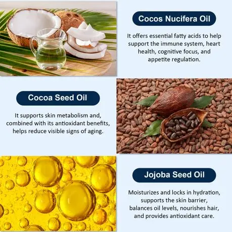 imgi_9_s-pdpxl.webp