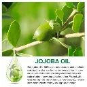 imgi_12_s-pdpxl.webp
