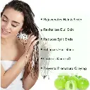 imgi_8_s-pdpxl.webp