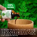imgi_10_s-pdpxl.webp