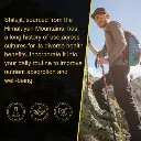 imgi_13_s-pdpxl.webp