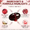 imgi_17_s-pdpxl.webp